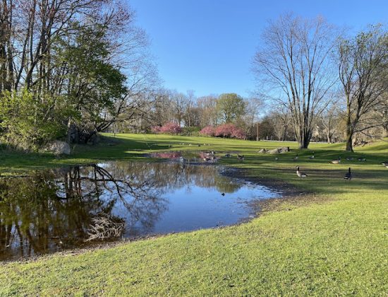 Cummings Park