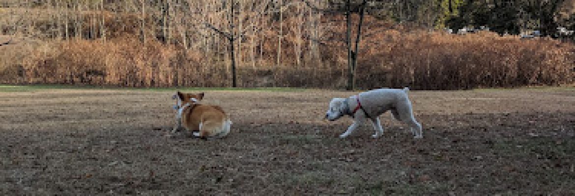 Winslow Park