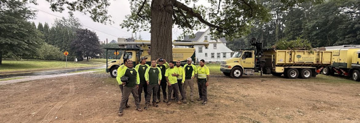 Bartlett Tree Experts