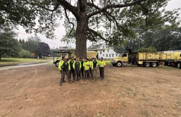 Bartlett Tree Experts