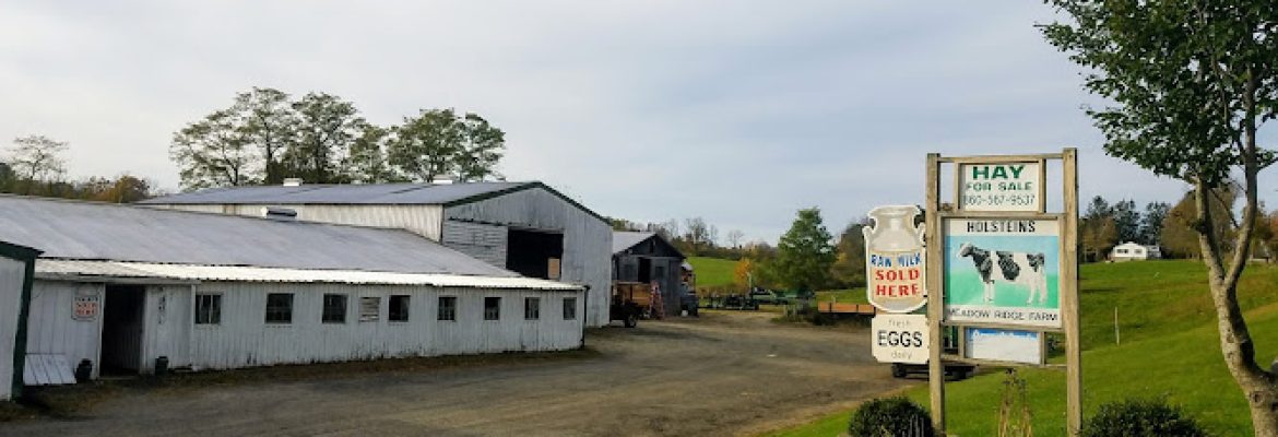 Meadow Ridge Farm LLC