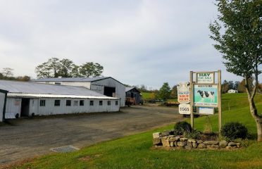 Meadow Ridge Farm LLC