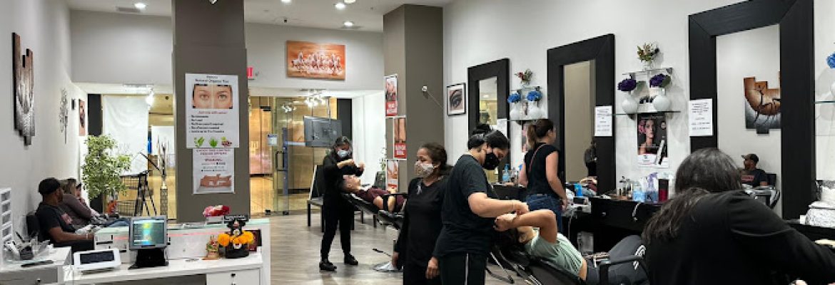 Threading Brow Bar – Stamford, CT