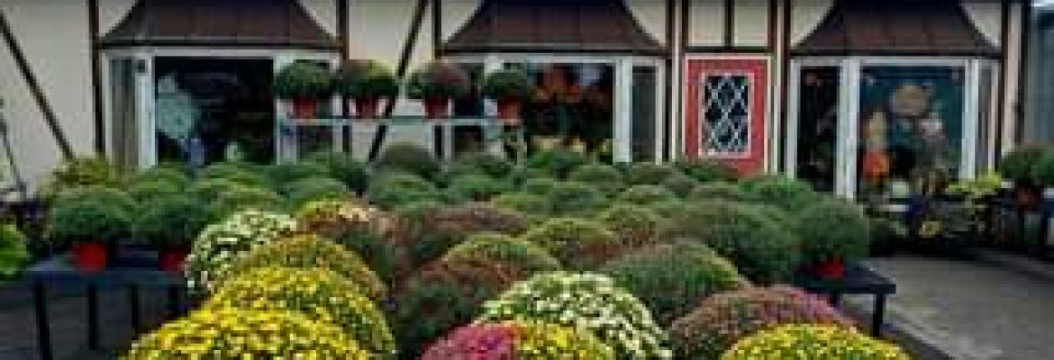 Langanke’s Florist