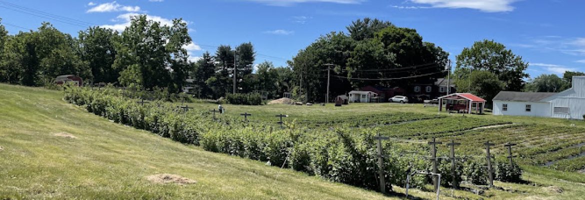 Old Bishop Farm