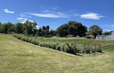 Old Bishop Farm