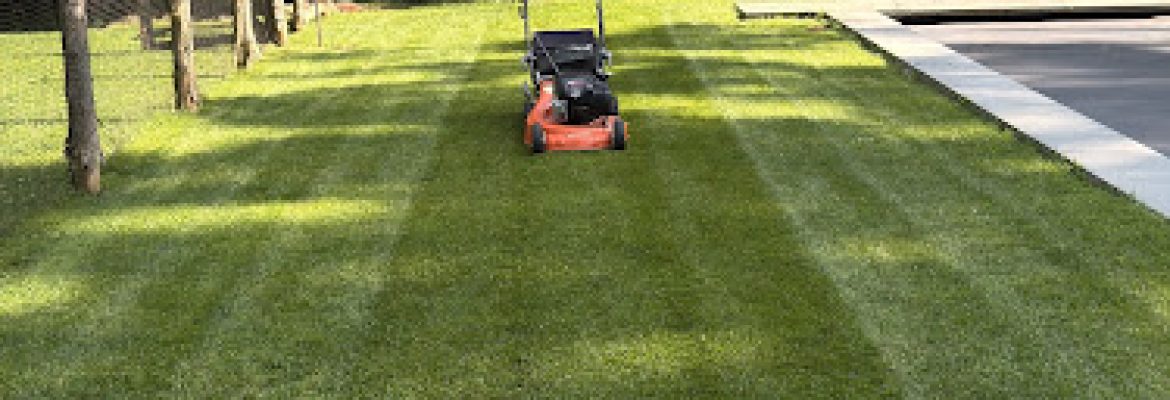 Matt’s Landscaping LLC