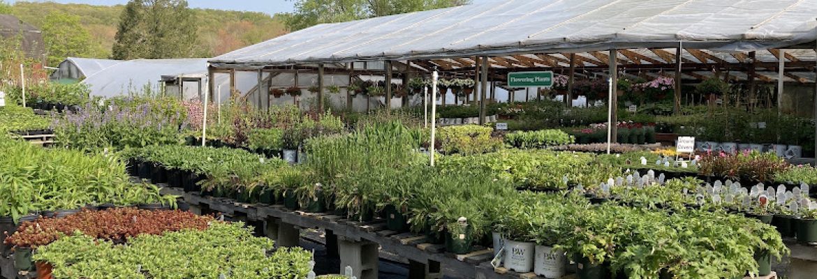 Baltic Greenhouse Nursery