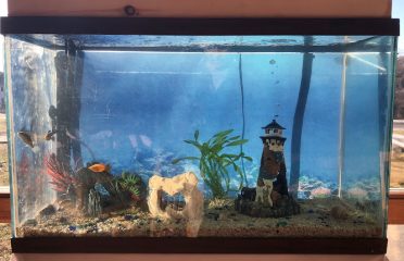 Petco