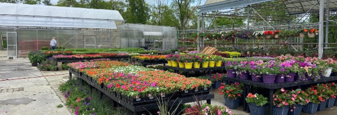 Lots and More Garden Center