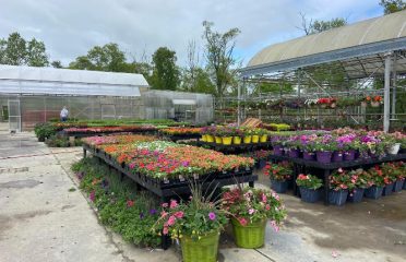 Lots and More Garden Center
