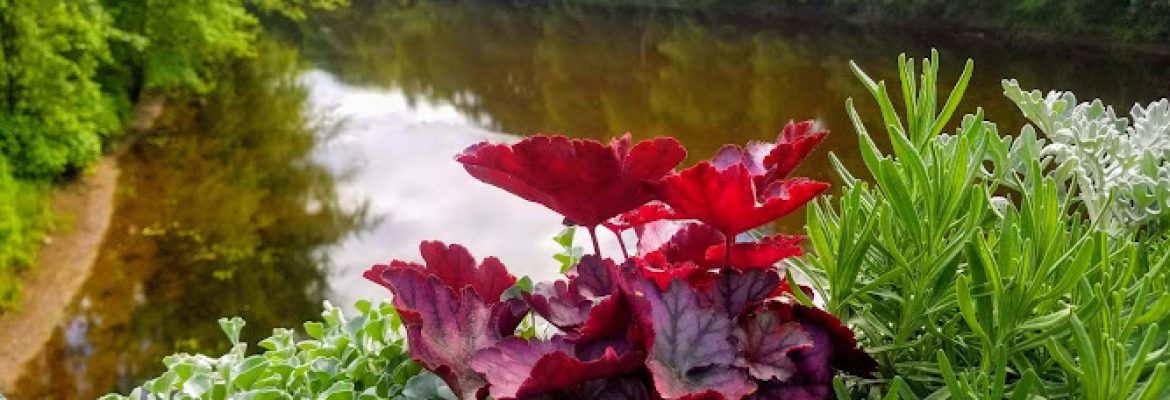 Drake Hill Flower Bridge