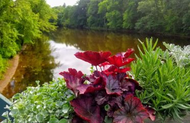 Drake Hill Flower Bridge