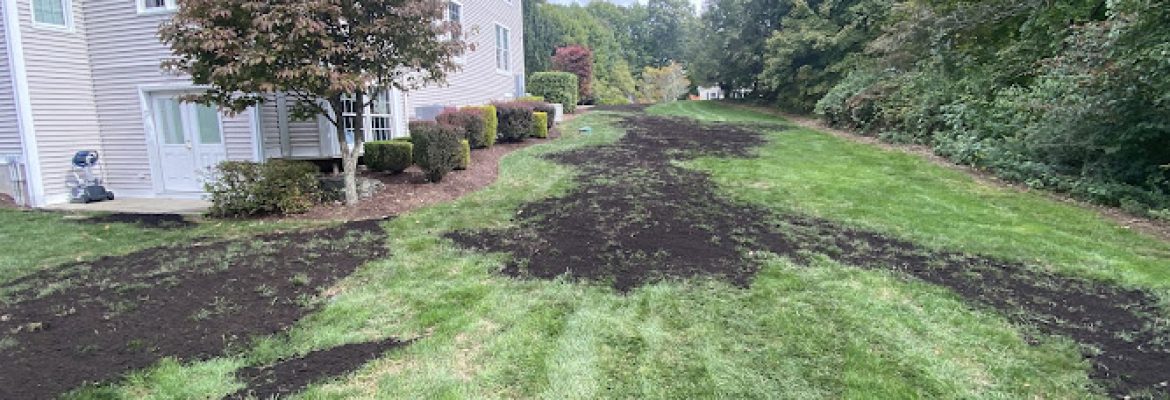 LT Landscaping Inc.
