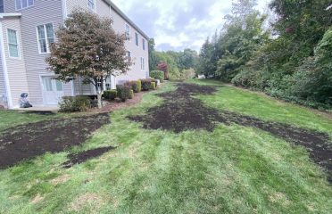 LT Landscaping Inc.