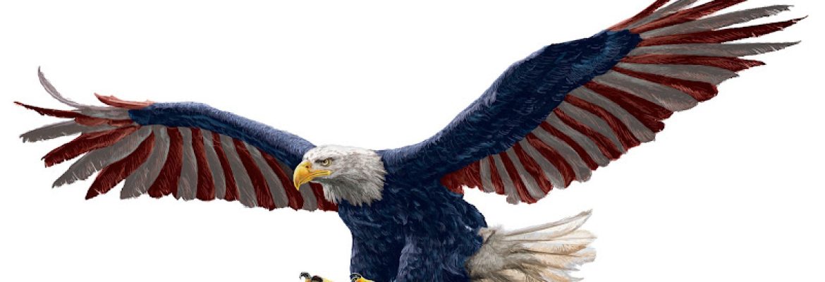 Eagle Lawn Care, LLC