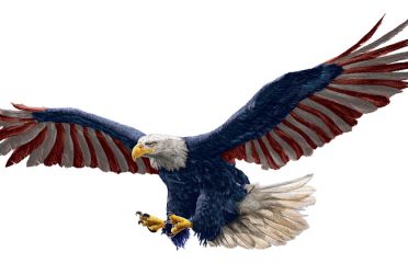 Eagle Lawn Care, LLC