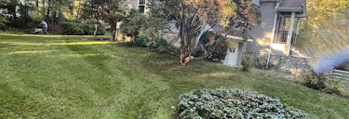 Jrobles&sons landscaping