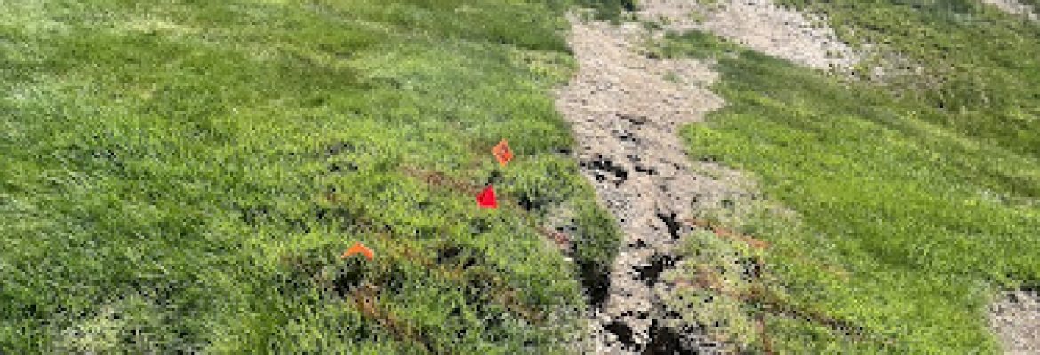 R&R Landscaping, Tank and Tree Removal