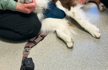 Four Paws Veterinary Services, PC