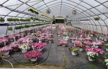 Glendale Farms