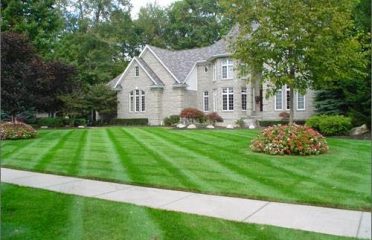 JBJ Landscaping Service, LLC.