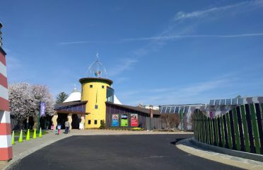 Stepping Stones Museum for Children