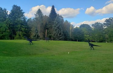 Dinosaur State Park