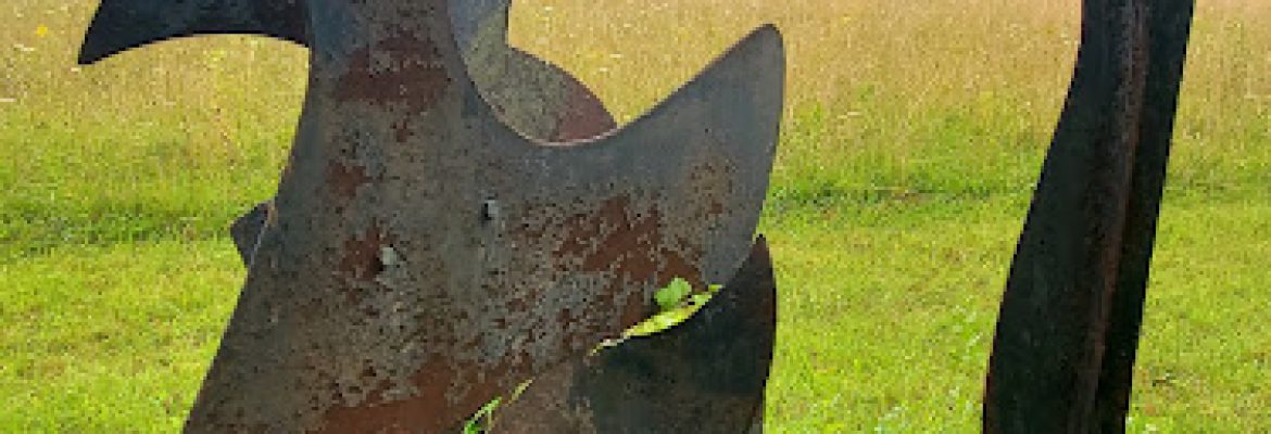 David Hayes Sculpture Fields