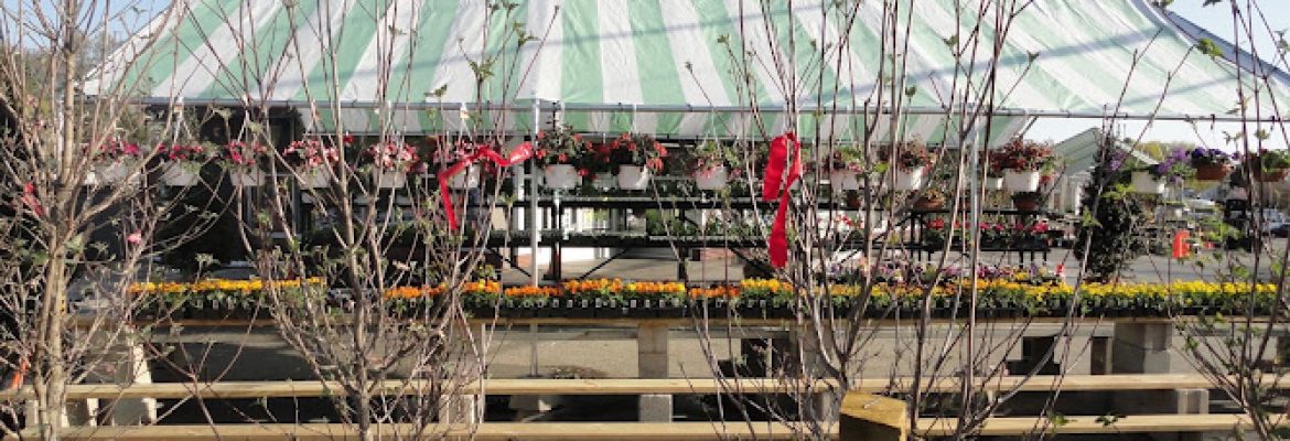 Treeland Garden Center & Nursery