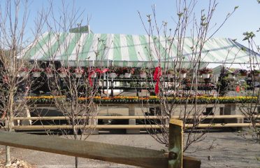 Treeland Garden Center & Nursery