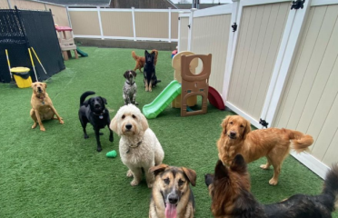Pets a Go Go LLC