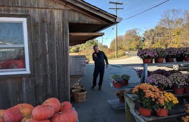 Q P Farm Market