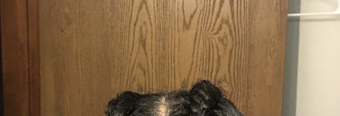 Miriame’s African Hair