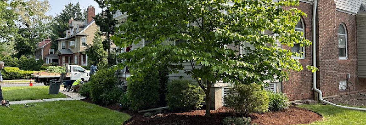 M.J.D Landscape Solutions LLC