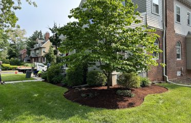 M.J.D Landscape Solutions LLC