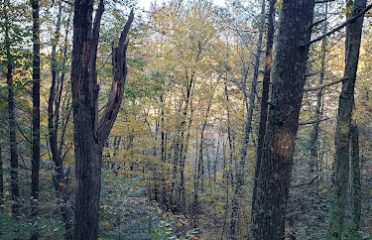 Connecticut Audubon Society: Morgan R. Chaney Sanctuary