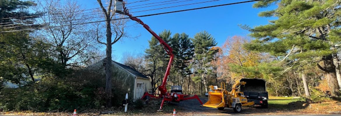 QJF Tree Services LLC