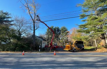 QJF Tree Services LLC