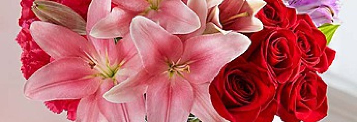 Fruits & Flowers