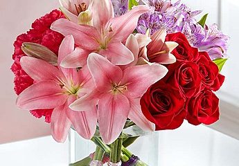 Fruits & Flowers