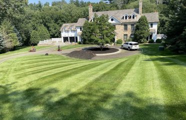 Sullivan & Son Landscaping Management