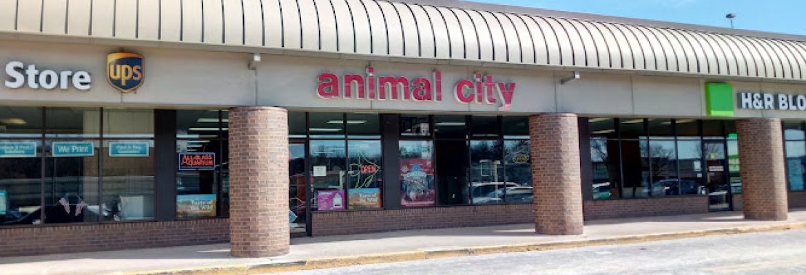 Animal City