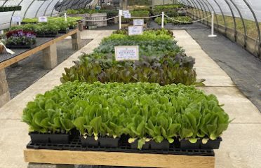 Nursery at Jones Family Farms