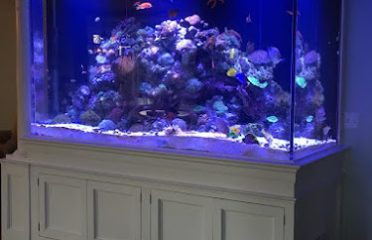 Max Reef Aquatics LLC