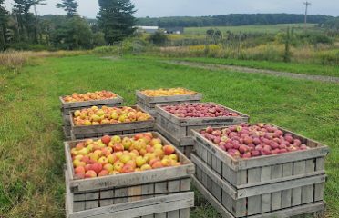 Hidden Gem Orchard