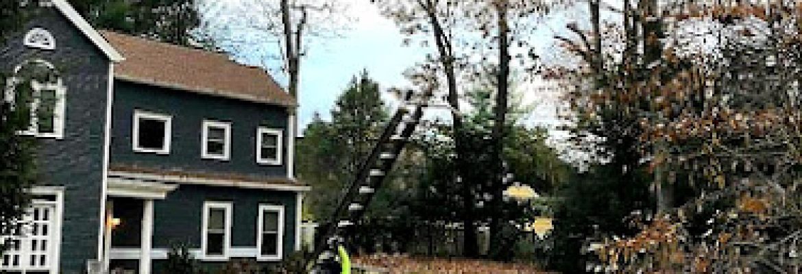 Green Solutions Landscaping LLC