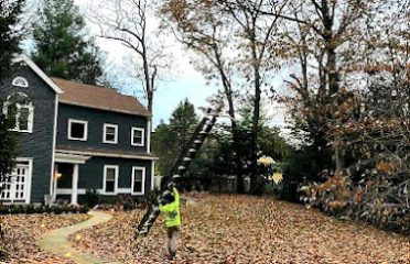 Green Solutions Landscaping LLC