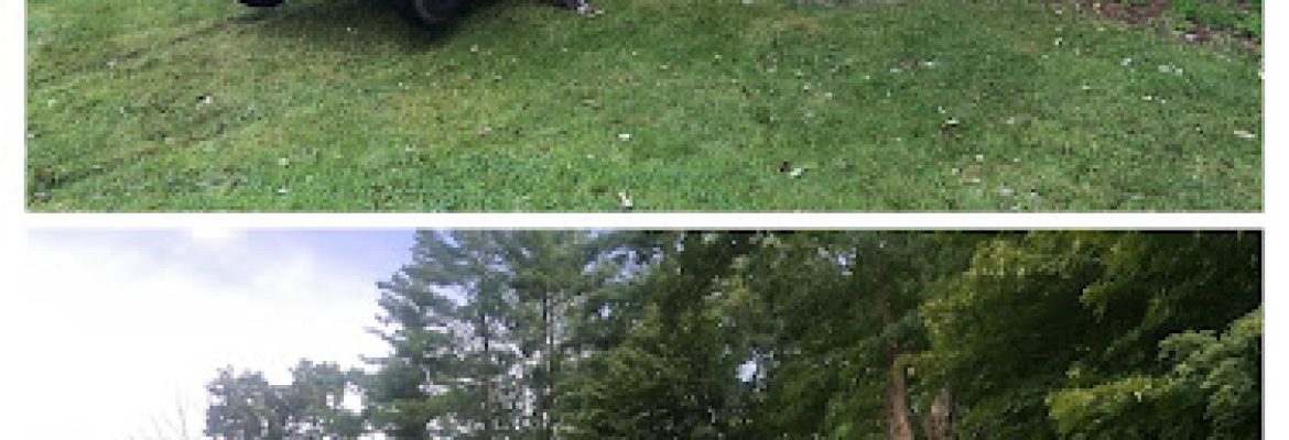 CZ’s Landscaping Tree Service LLC