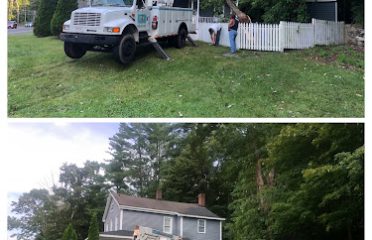 CZ’s Landscaping Tree Service LLC